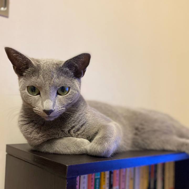 97562878 9342 4c72 809b b9178e945503 1626526572331