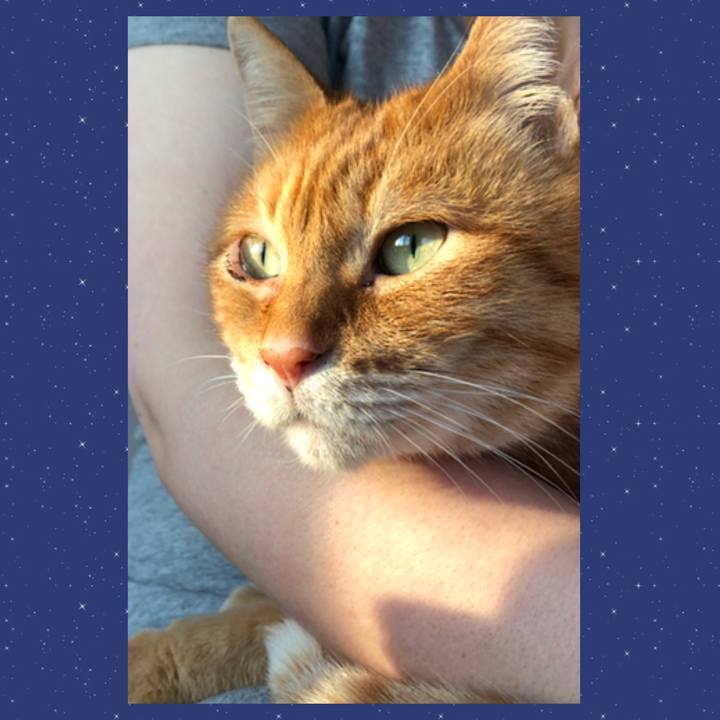 9756291b f73c 4b4d bf06 b9257c9a4716 1679176804362