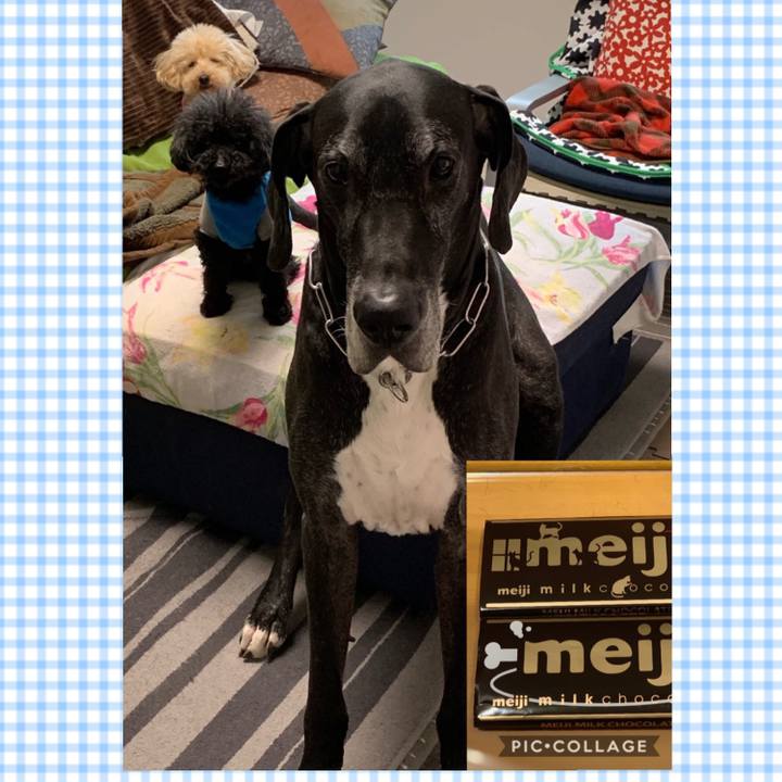 975644ea e049 4ad1 bd3c 71532750146a 1550703008951