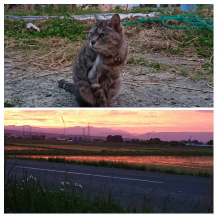 97564eac 8b5c 4e81 9628 dd3b0ff55851 1590487315354