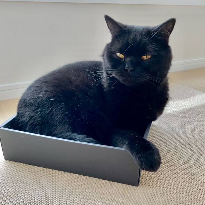 97565967 744f 4d5b 9b8c 279286fa2ba7 1654159734170