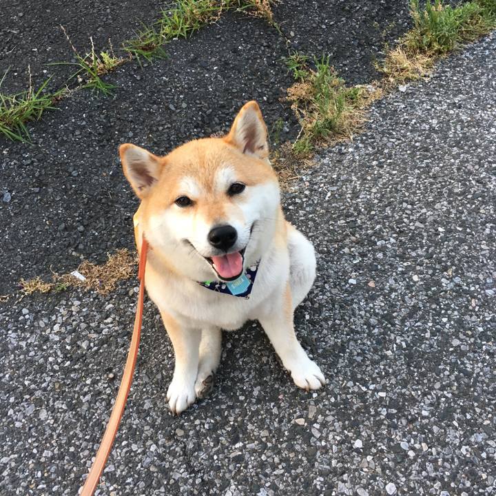 97566682 00e5 4acc 82d7 1abee1e1aa07 1559817712978