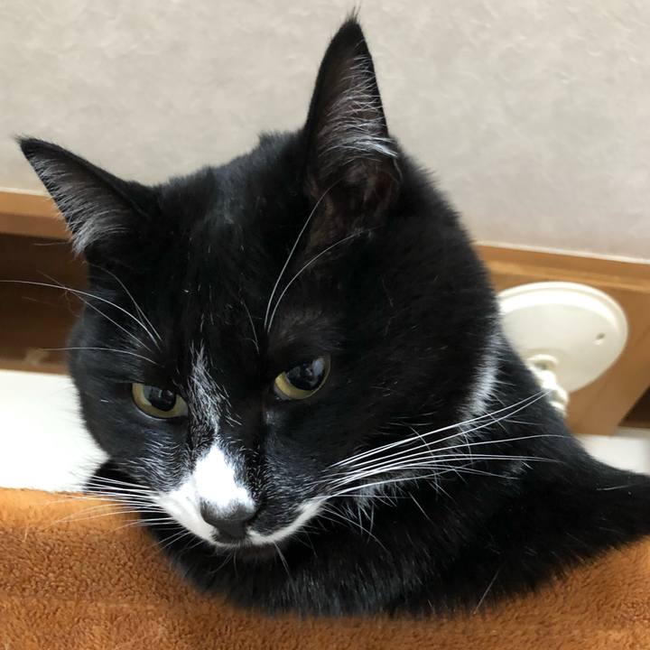 975699b3 5374 4608 b0f3 f52211534f23 1649931273075