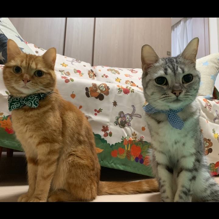 97569fc1 009f 4c66 876a dbc9442a2875 1568031244931