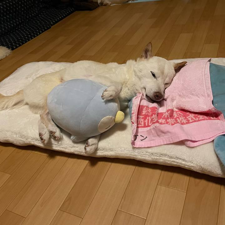 9756a448 dbf1 4d52 9e9c 754f43d33231 1663182683200