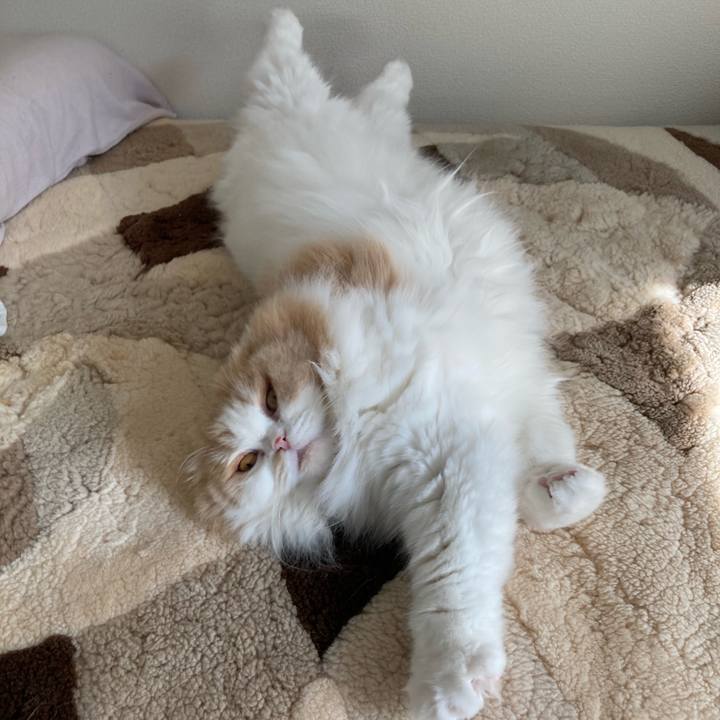 9756c984 4574 401e 9013 4618e4b8e059 1637505424743