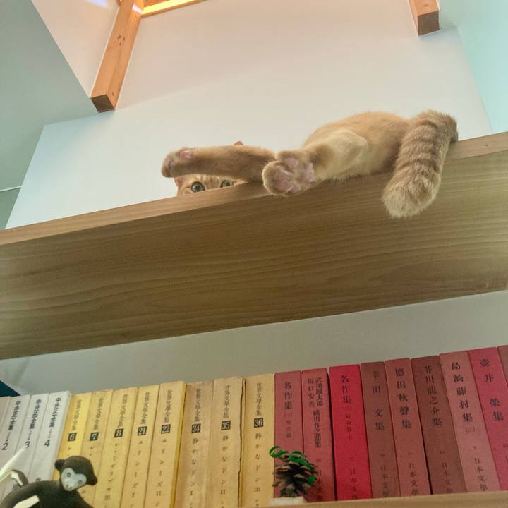 9756c9f4 a1bf 4bab 880b 252fe382234d 1722731967085