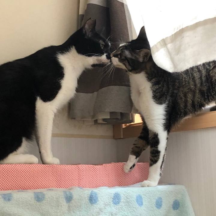 9756d6ee 003c 4723 85fb e0504da921dc 1558642876688