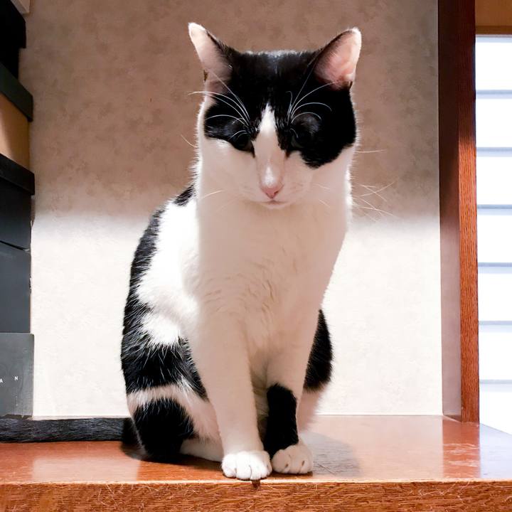 9756e939 79d6 45bf ac0d 8a508ed04305 1520606331551