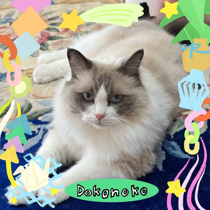 97573362 5618 4cd0 b89c b5fca58e16fc 1755058473440