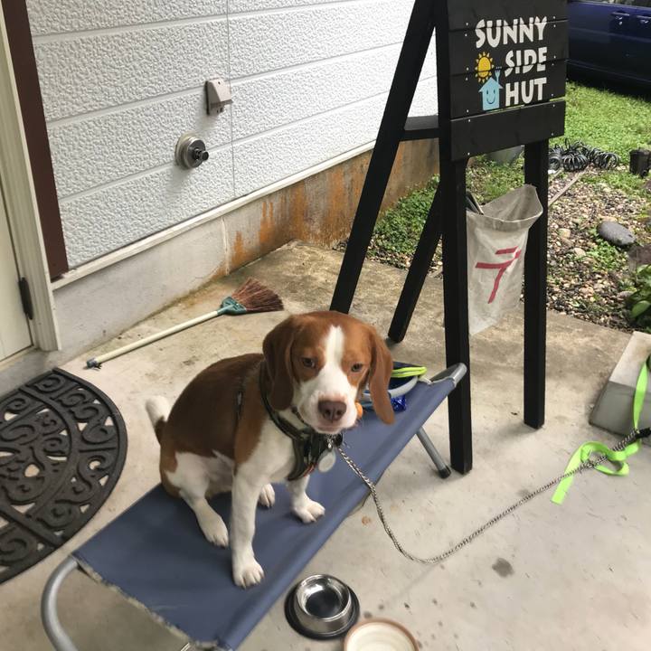 9757636d 791e 4a63 9a23 39973612d1bf 1537183401616