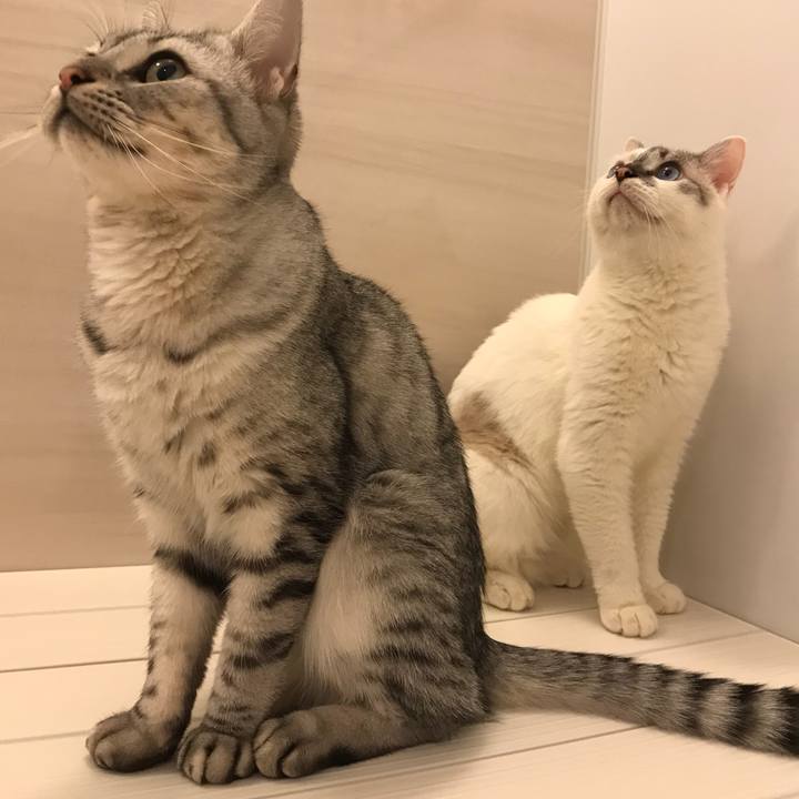 97576800 5a30 4947 b3dc 063a4d603e9e 1539600870398