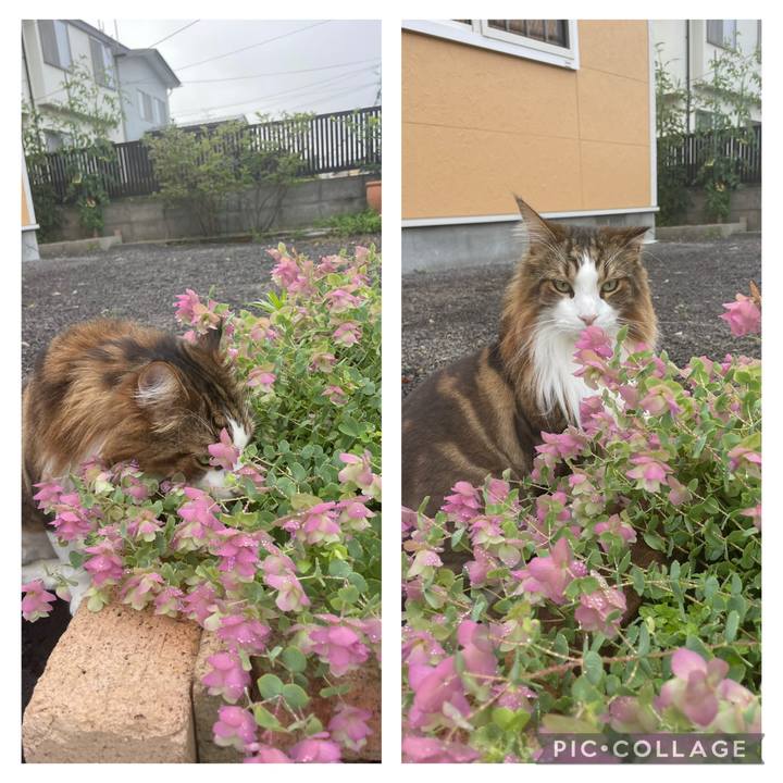 9757e9aa 78c3 481b 80e2 92a52d31a9a0 1752527772097