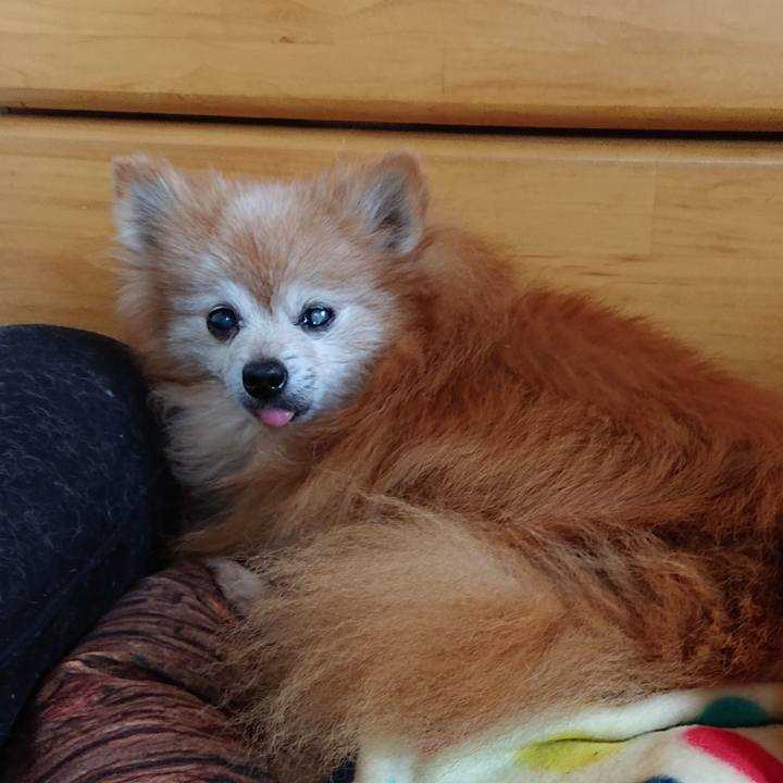 9757fe19 2047 4b2f a2bd 064cf6669c2c 1667430491708