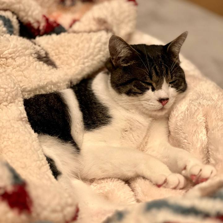 975828ad d33d 47ad a5a2 60c1fc089f99 1762047631758