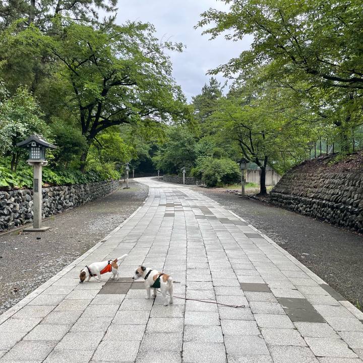 9758375a 6df4 4114 8da2 0e964de4568c 1658445817751