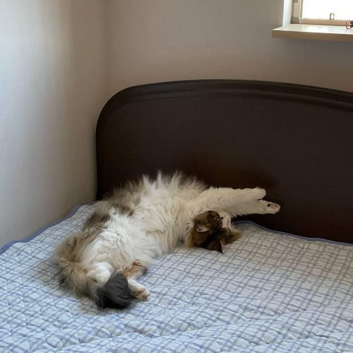 97583b6b f485 4d80 bd8a d5a4cd2a9b89 1686981787360