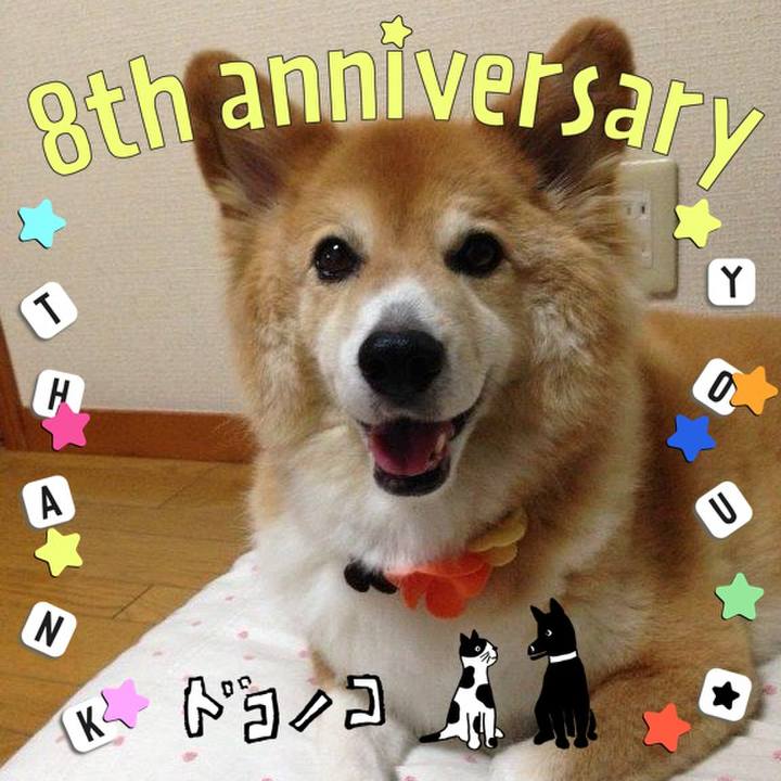 9758404a b203 4ded b2ab 6ed3968ccd2b 1717591935516