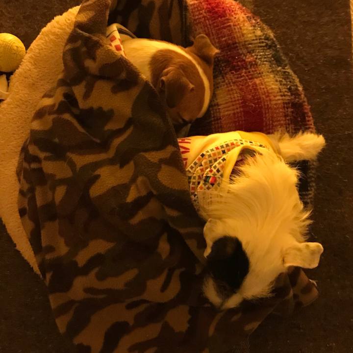 975869bd a0b3 4b65 991e c4d603591751 1513681497668