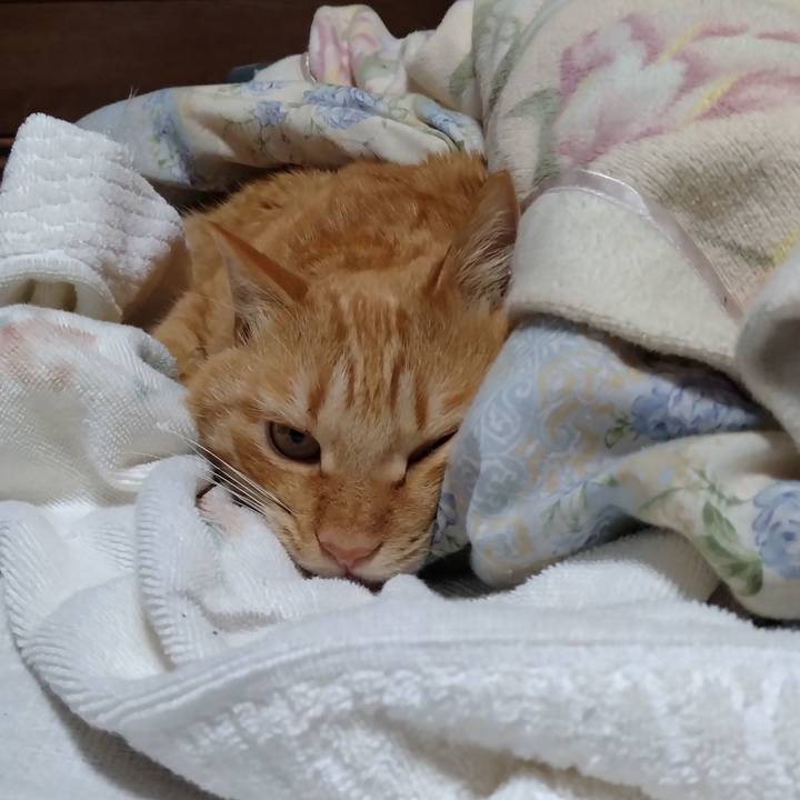 975870f3 6ff0 4ec4 b657 59f90bd213d9 1672295637573