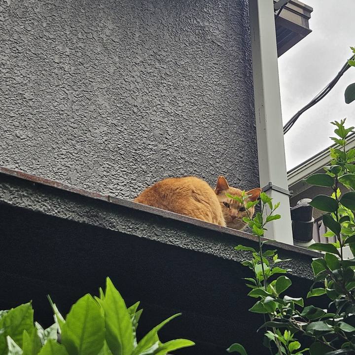 975878ee 122f 4013 8bb6 0b4941993a8d 1714021967122