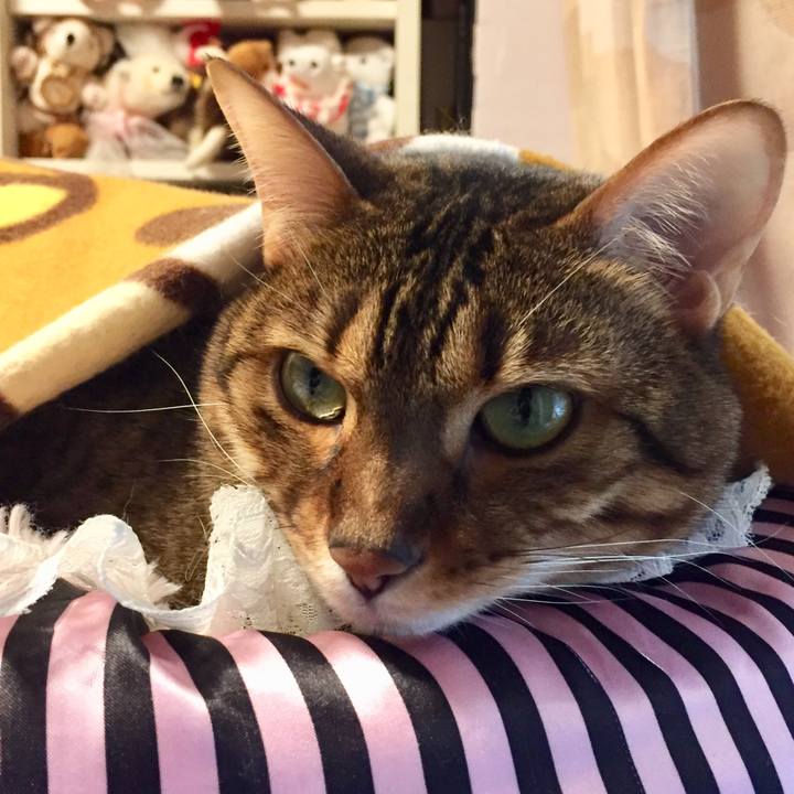 97587d3d b211 4edb 9056 0fd5c4f0818c 1518477222927