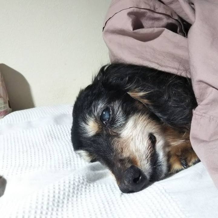 97588598 eaae 4785 a4ae 587ef982e74d 1639346616526