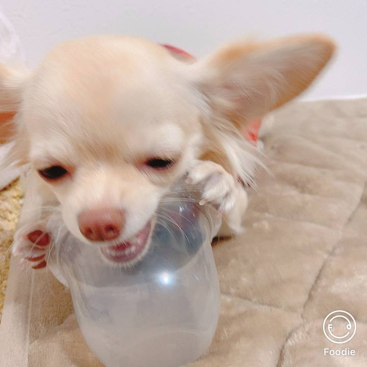 975885e7 22ef 4e3d af30 12f3baccc6fe 1606127372618