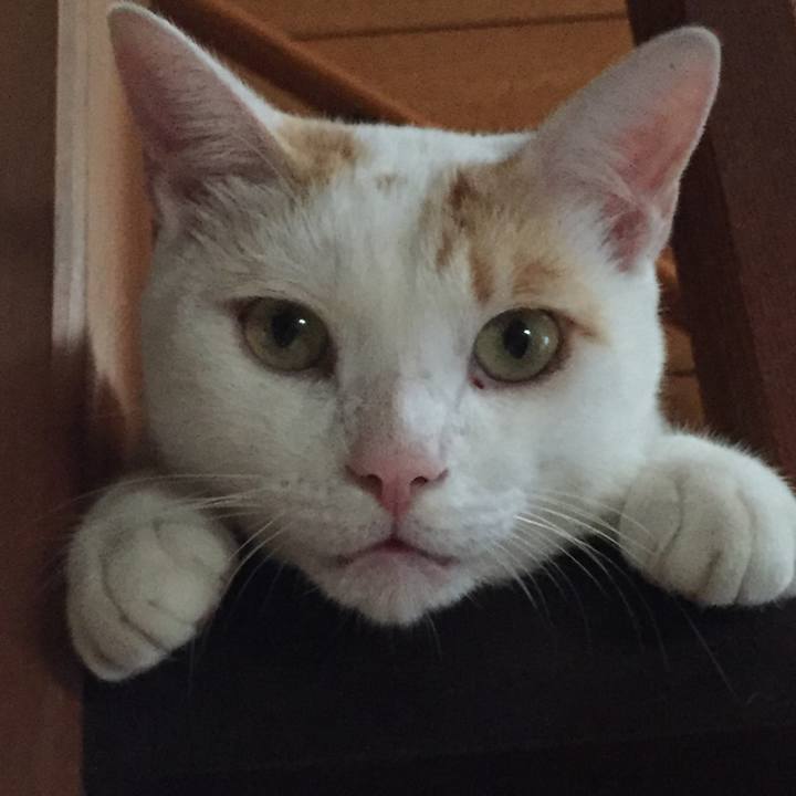 97589742 ff39 4ce3 8346 7bcbeba27e57 1537690589470