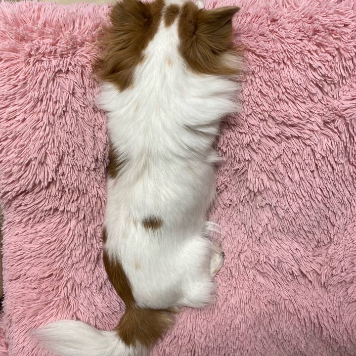 975906be a576 4ccd 83c8 1b86b2a71f21 1577538725457