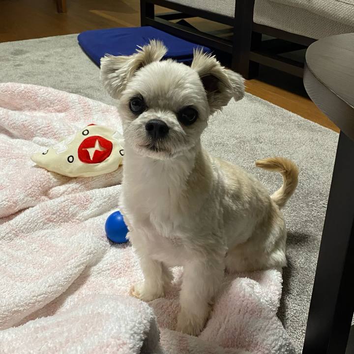 97592051 ef40 4761 9829 0a281cf2cc7e 1641560834000