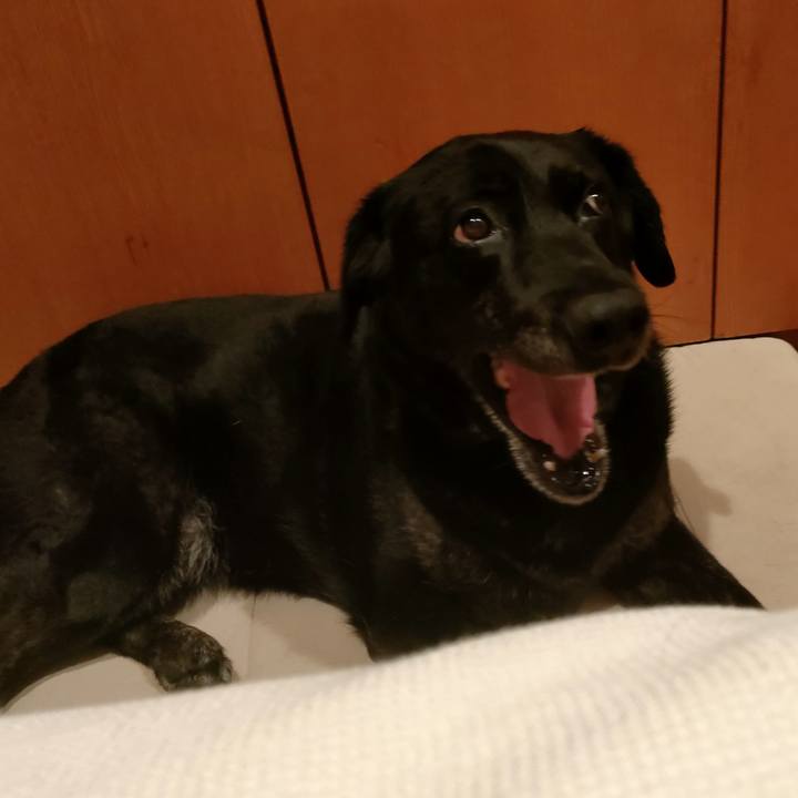 975966b3 c2c0 46ae b2d0 ba0c6d064638 1748472297463