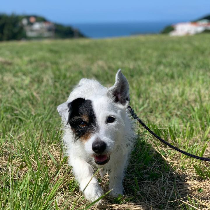 97597c9e f4ac 47d9 91f4 7dacb471993d 1717027589108