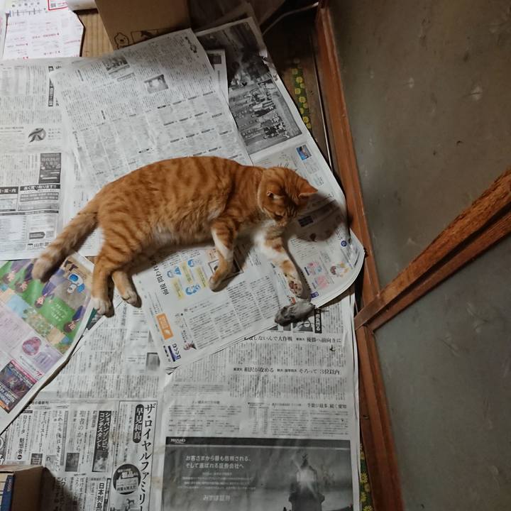 975985ee 3447 4b07 89ef 4070870728d4 1573302365875