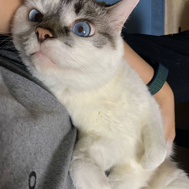 97598d00 ff31 4273 9288 0403d7b4aa33 1626659708488