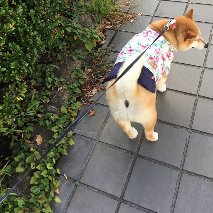 9759aaa7 bfda 4b09 a558 9075270f4ce8 1568249443980