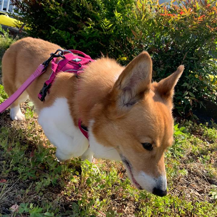 975a1d97 009d 4b46 b201 d106c86d717d 1683678614982