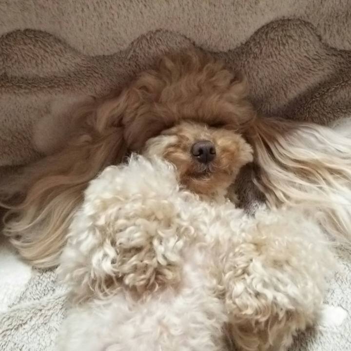 975a42e8 c184 4f6f adec 495ac09d040c 1524316482302