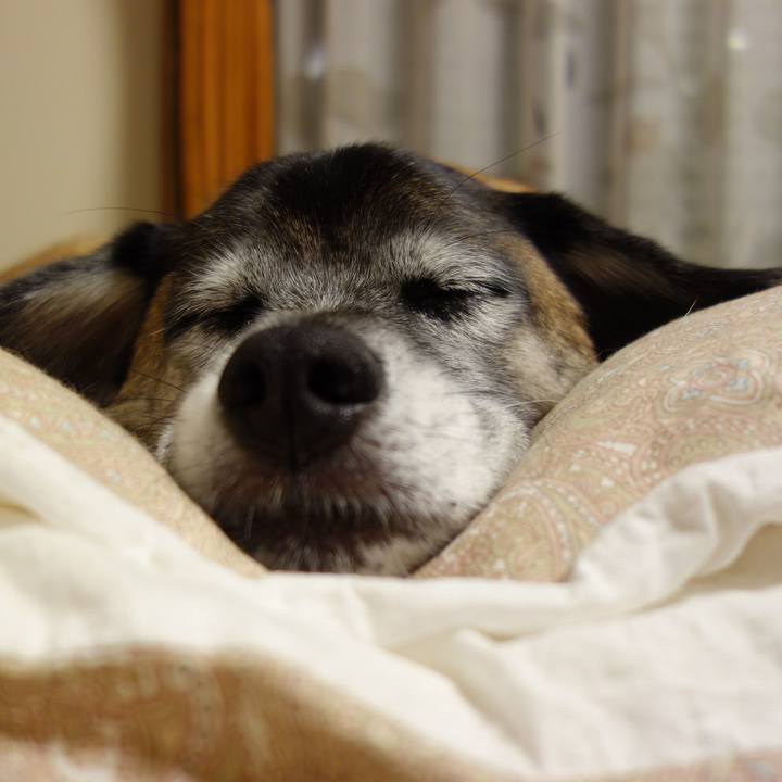 975ab551 14ed 4928 a5ab 3da69bde986a 1620692657858