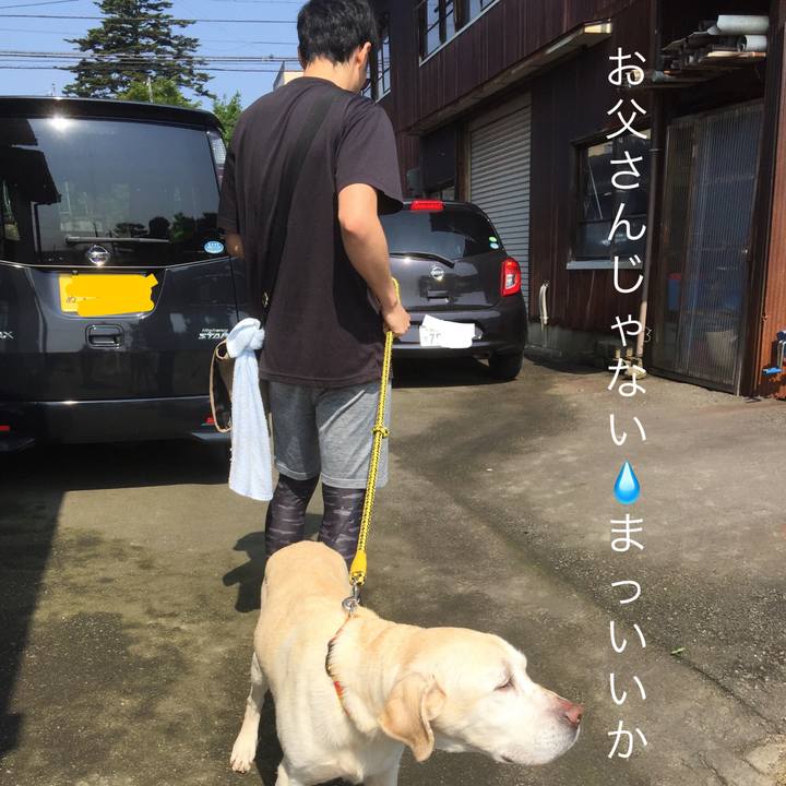 975afda4 a126 4173 a535 4077688fc674 1590455134854