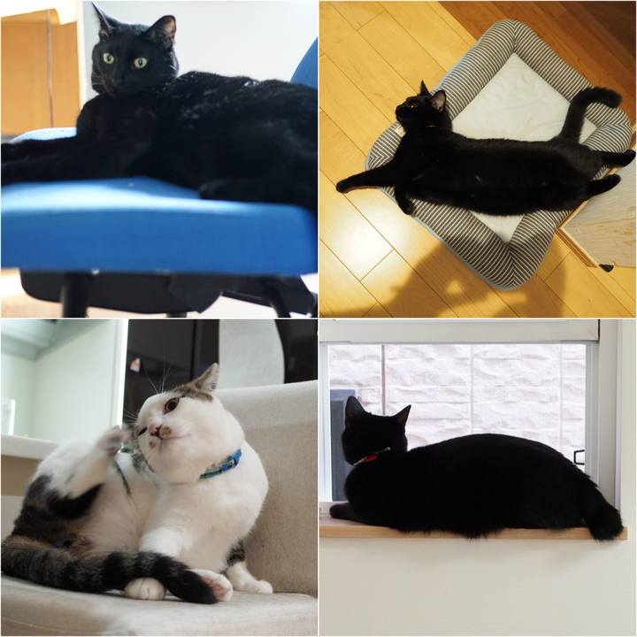 975b0fd1 96aa 44ae 8291 c521d6d8f279 1534895450738