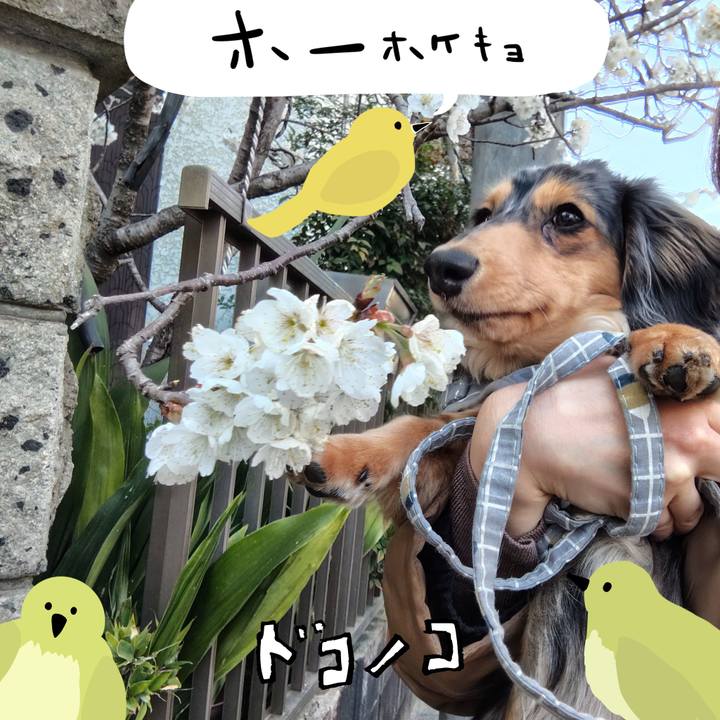 975b1328 e631 4af3 a90a ac49d9ca96c8 1711101534542