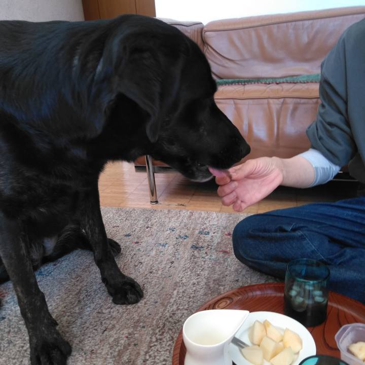 975b1400 32da 449f 973f 40e85e05cf47 1587261640160