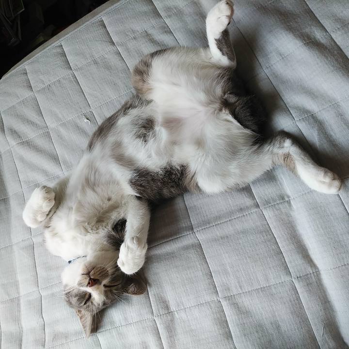 975b2b85 b691 473b ab5a f10804ed2a55 1595376926447