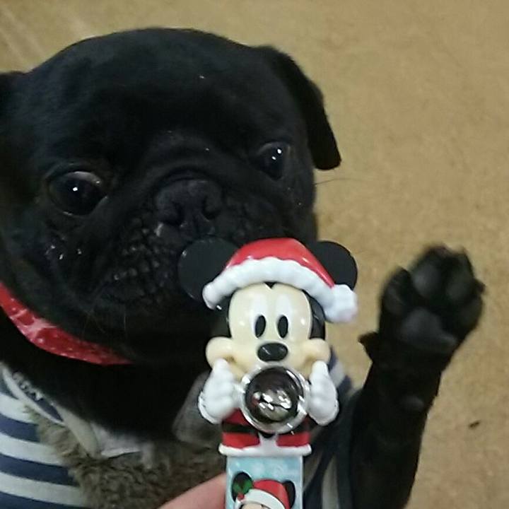 975b40a9 914b 4ad7 af3b 6923b8d134ab 1545826788027