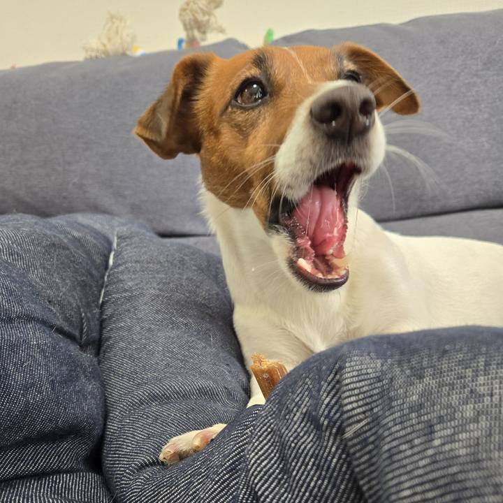 975b53f9 056c 45d5 a246 37a3662f0e18 1771298737853