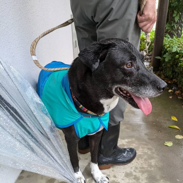 975b5f66 f2be 46c4 9221 9f3729ba79d1 1723763754322