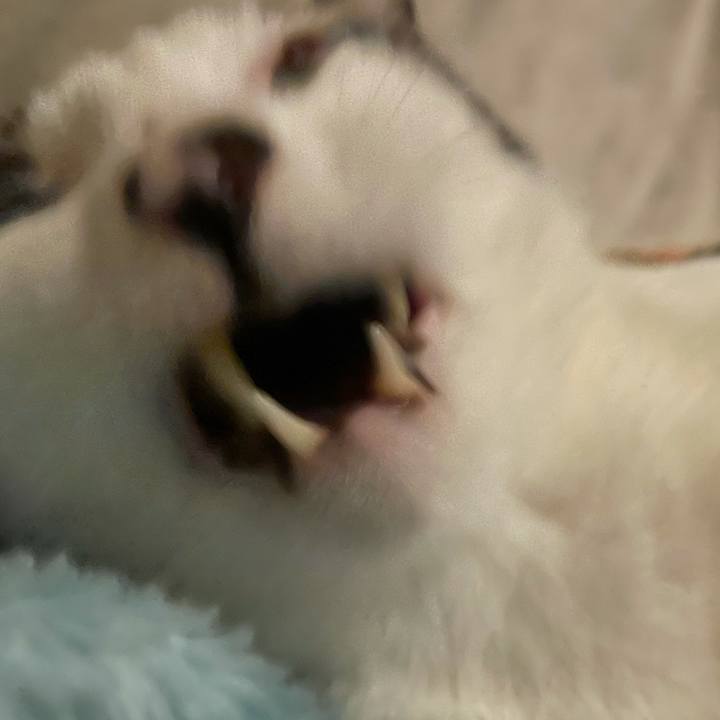 975b77e6 cb8b 4f76 9aed 99f942940eda 1638814529100