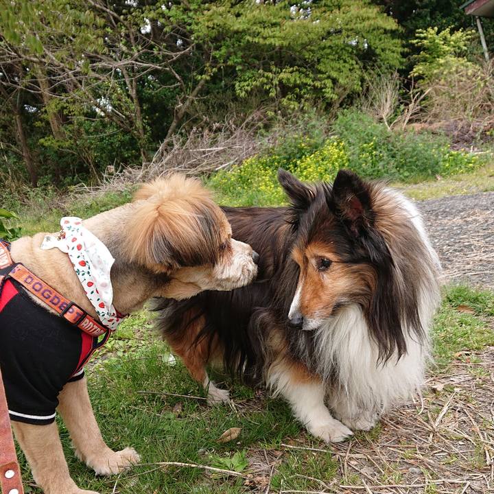 975b7f5c b4c6 4257 a14c a026574d01b0 1555213295814