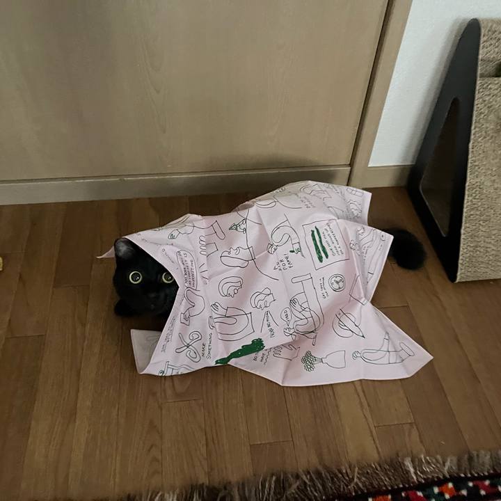 975b8c4c 82c3 467b 8f36 286d6fa758c5 1722993342026